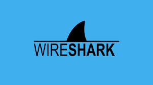 Podatność DoS w Wireshark