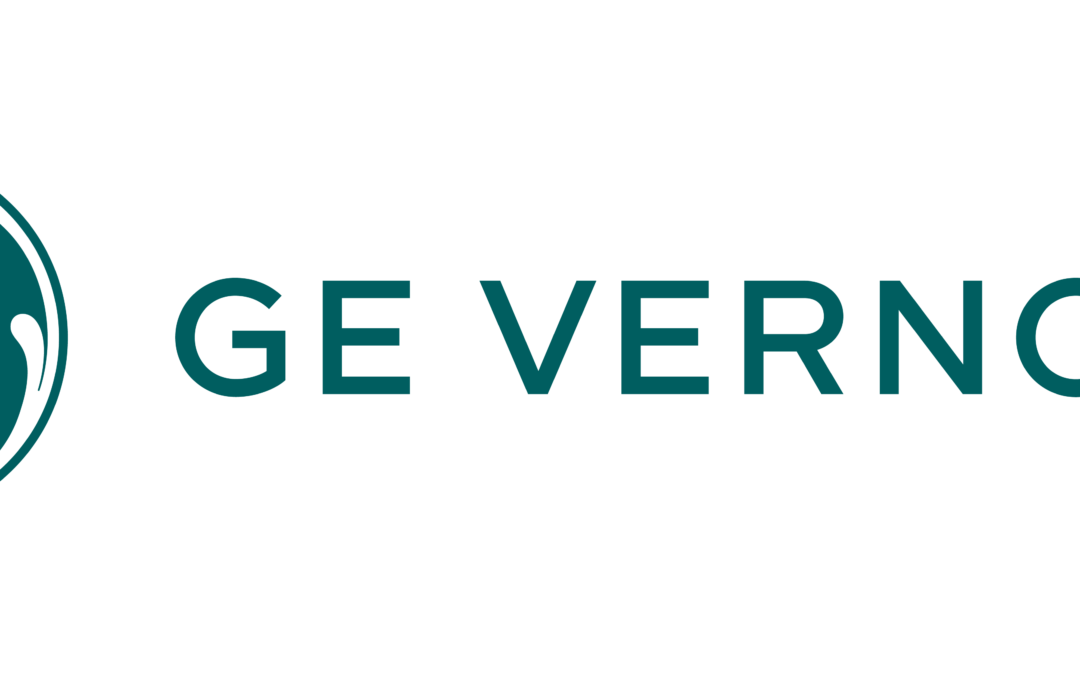 Firma GE Vernova informuje o nowych podatnościach w swoich produktach (P26-067)